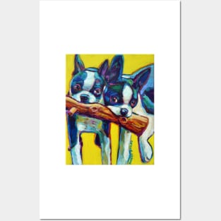 Cute Boston Terrier Puppies by Robert Phelps Posters and Art